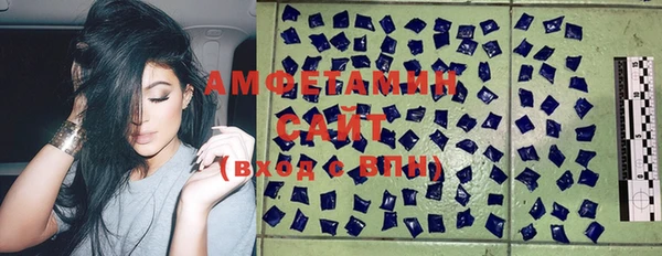 стаф Алексин