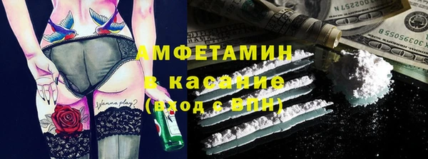 стаф Алексин