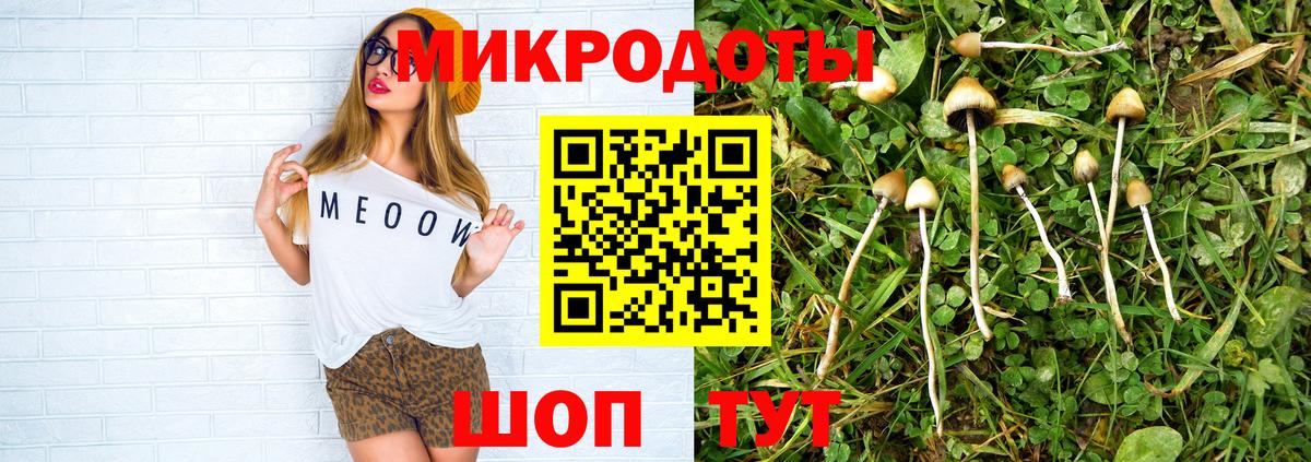 Ипатово  Галлюциногенные грибы Psilocybine cubensis  наркошоп  Псилоцибиновые грибы мицелий  Вход с VPN 